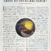 tdarticle