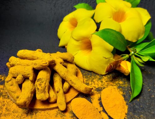 Is Turmeric the same as Curcumin?